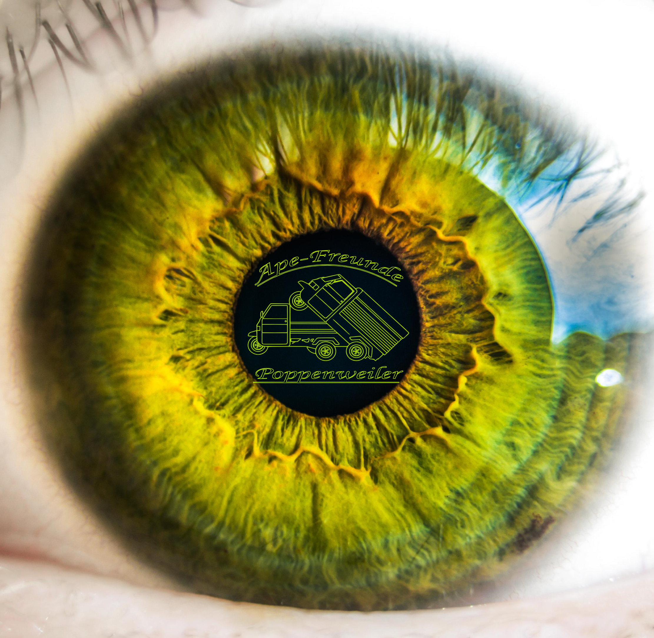Auge mit Logo